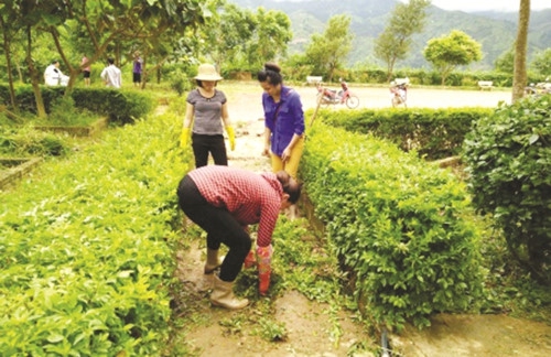 Vùng cao nỗ lực chuẩn bị năm học mới - Ảnh minh hoạ 2