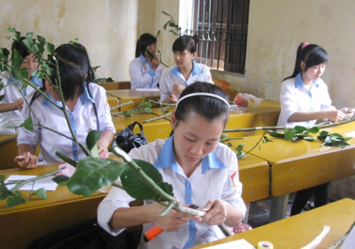 Ninh Bình ban hành kế hoạch thi nghề cấp THPT năm học 2018-2019