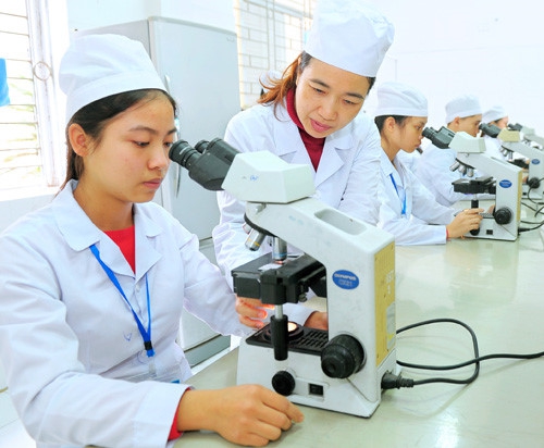 GII 2018 xếp Việt Nam đứng thứ 18/126 quốc gia về giáo dục