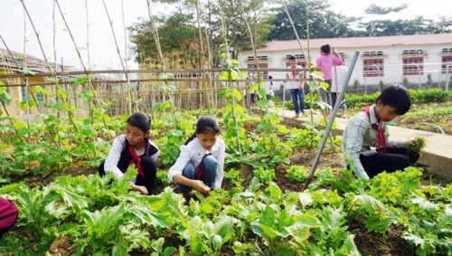 Trường học - nông trại ở vùng cao Tây Bắc - Ảnh minh hoạ 2