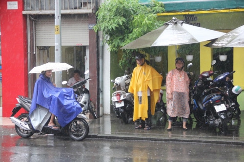 Học sinh TPHCM nghỉ học vào ngày mai, 26/11