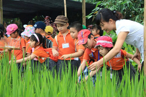 Hoạt động trải nghiệm: chỉ đánh giá, không chấm điểm