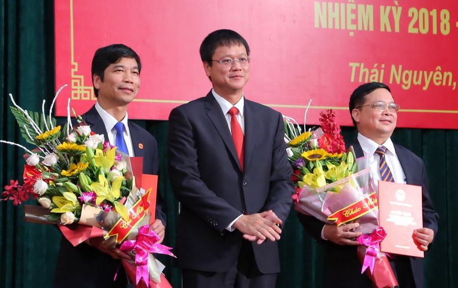 Bộ GD&ĐT bổ nhiệm Chủ tịch Hội đồng Đại học Thái Nguyên
