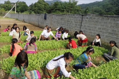 Cách làm hay bảo đảm an toàn cho HS trường bán trú - Ảnh minh hoạ 2