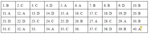 Đề và lời giải môn Lịch sử kỳ thi THPT quốc gia 2019 - Ảnh minh hoạ 7