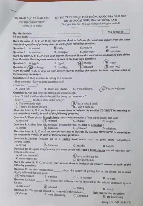 Đề và lời giải môn tiếng Anh kỳ thi THPT quốc gia 2019 - Ảnh minh hoạ 3