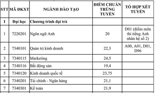 Marketing là ngành có điểm trúng tuyển cao nhất vào UFM - Ảnh minh hoạ 3