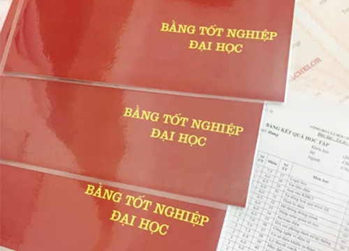 Không ghi hình thức đào tạo, xếp loại trên văn bằng: Phù hợp với thông lệ quốc tế - Ảnh minh hoạ 2