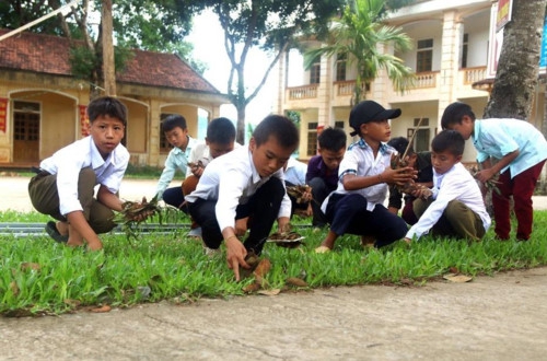 Bài 1: Trường vùng cao thiếu giáo viên nhiều môn học - Ảnh minh hoạ 2