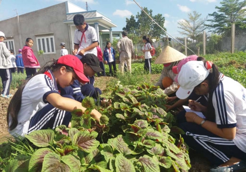 Kỳ vọng nâng cao chất lượng giáo dục từ những thay đổi phù hợp - Ảnh minh hoạ 4