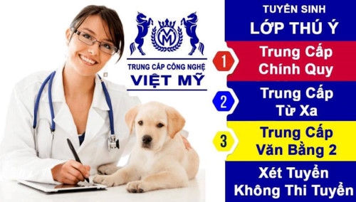 Bác sĩ thú y: Ngành học không mới nhưng công việc ổn định - Ảnh minh hoạ 4