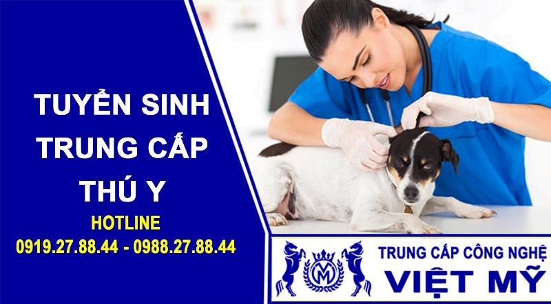 Bác sĩ thú y: Ngành học không mới nhưng công việc ổn định