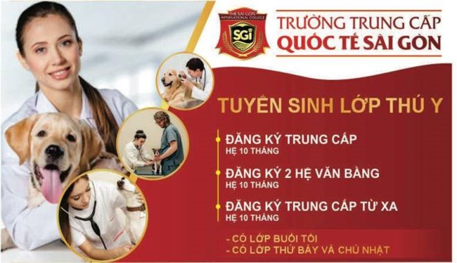 Trường Trung cấp Quốc tế Sài Gòn tuyển sinh 870 chỉ tiêu - Ảnh minh hoạ 2