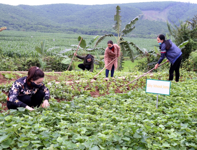 Nhớ trò, cô giáo mầm non làm đồ chơi chờ đón trẻ - Ảnh minh hoạ 8