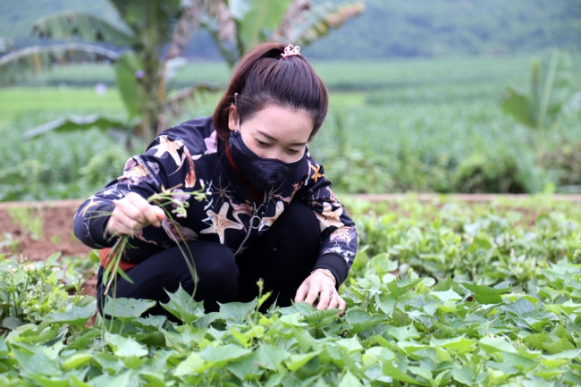 Nhớ trò, cô giáo mầm non làm đồ chơi chờ đón trẻ - Ảnh minh hoạ 9