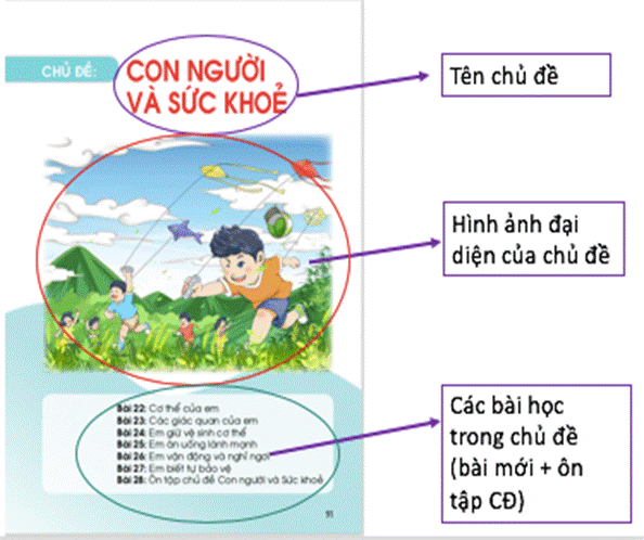 SGK Tự nhiên và Xã hội 1 giúp học sinh phát triển năng lực khoa học, tình yêu thiên nhiên và con người - Ảnh minh hoạ 2