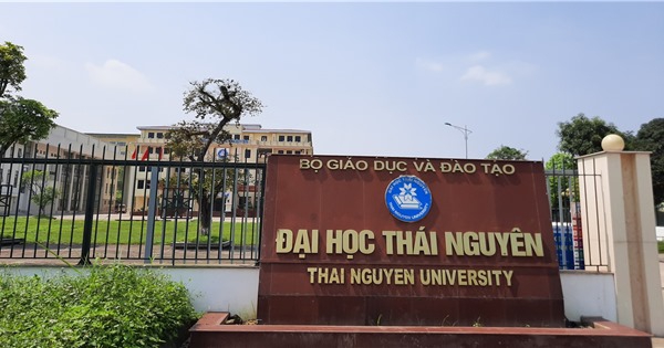 Thái Nguyên: Cần có sự gắn kết chặt chẽ hơn giữa giáo dục đại học với giáo dục phổ thông