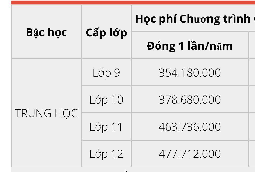 Mức học phí của các trường quốc tế tại TP.HCM - Ảnh minh hoạ 4