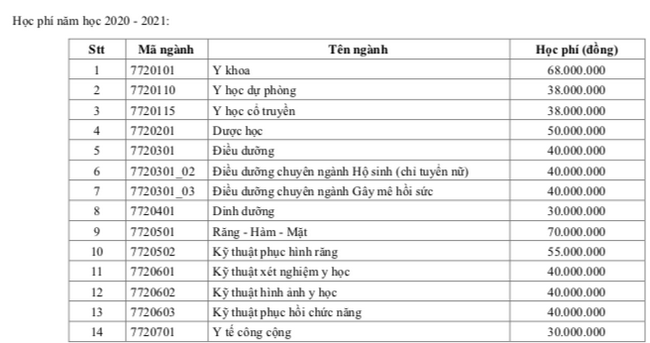 Trường ĐH Y Dược TP.HCM tăng mạnh học phí từ 13 triệu lên 70 triệu đồng/năm - Ảnh minh hoạ 2