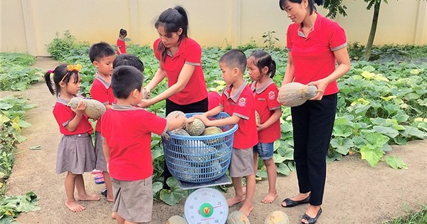 Bắc Giang: Phát triển mô hình vườn rau sạch trong trường học