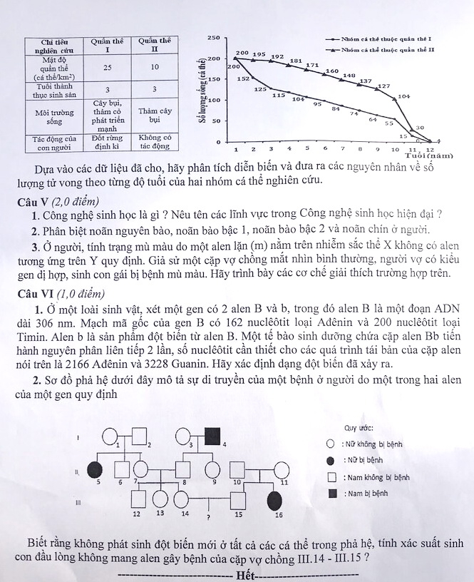 Cuộc chiến chống dịch Covid-19 vào đề Văn chuyên Hà Nội - Ảnh minh hoạ 6