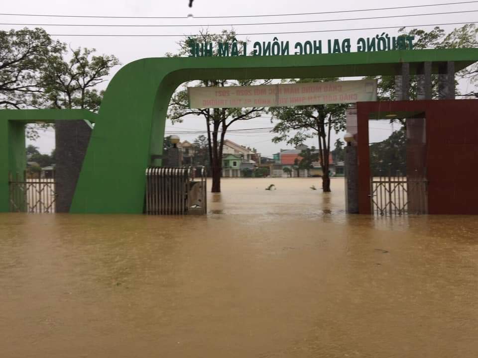 ĐH Huế và ĐH Đà Nẵng được gia hạn thời gian nhập học vì mưa lũ - Ảnh minh hoạ 2