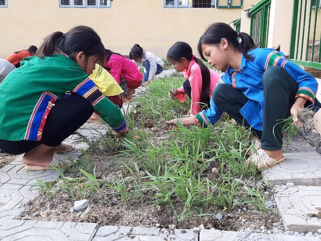 Lào Cai: Tuyên truyền bảo vệ rừng cho hơn 300 HS