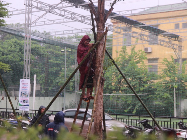 Nhiều trường thông báo khẩn cho học sinh nghỉ học do mưa lũ