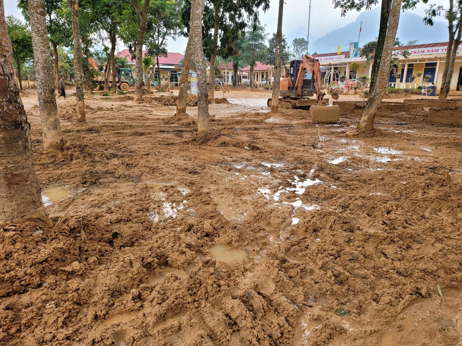 Quảng Trị nỗ lực dọn dẹp bùn đất sau mưa lũ đón học sinh trở lại trường - Ảnh minh hoạ 3