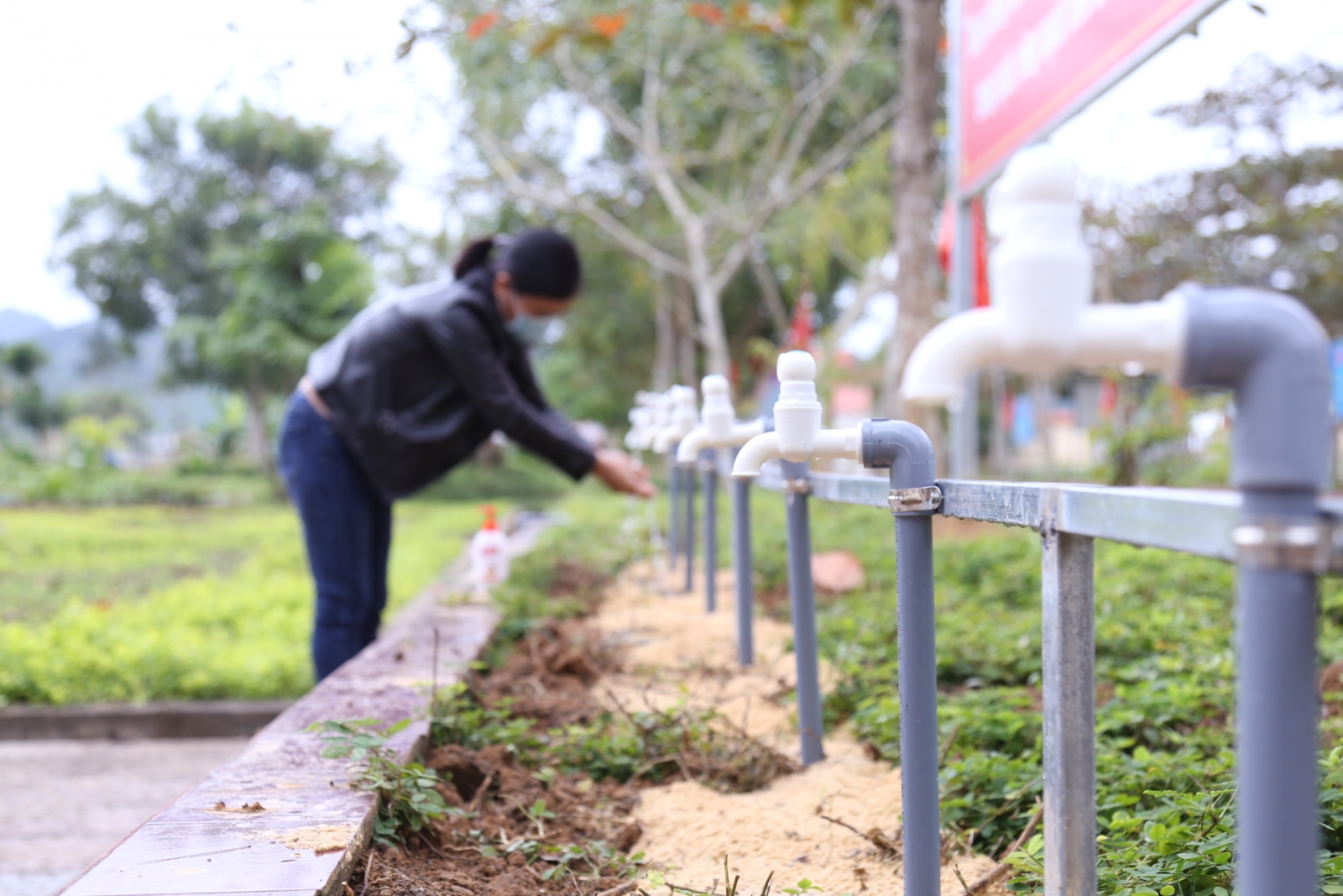 Quảng Bình, Quảng Trị: Tăng cường biện pháp phòng, chống dịch trong trường học - Ảnh minh hoạ 3