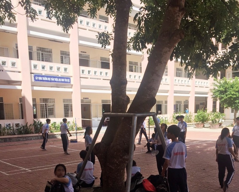 Mùa mưa bão tại Cần Thơ: Trường học lo “sức khỏe” cây xanh