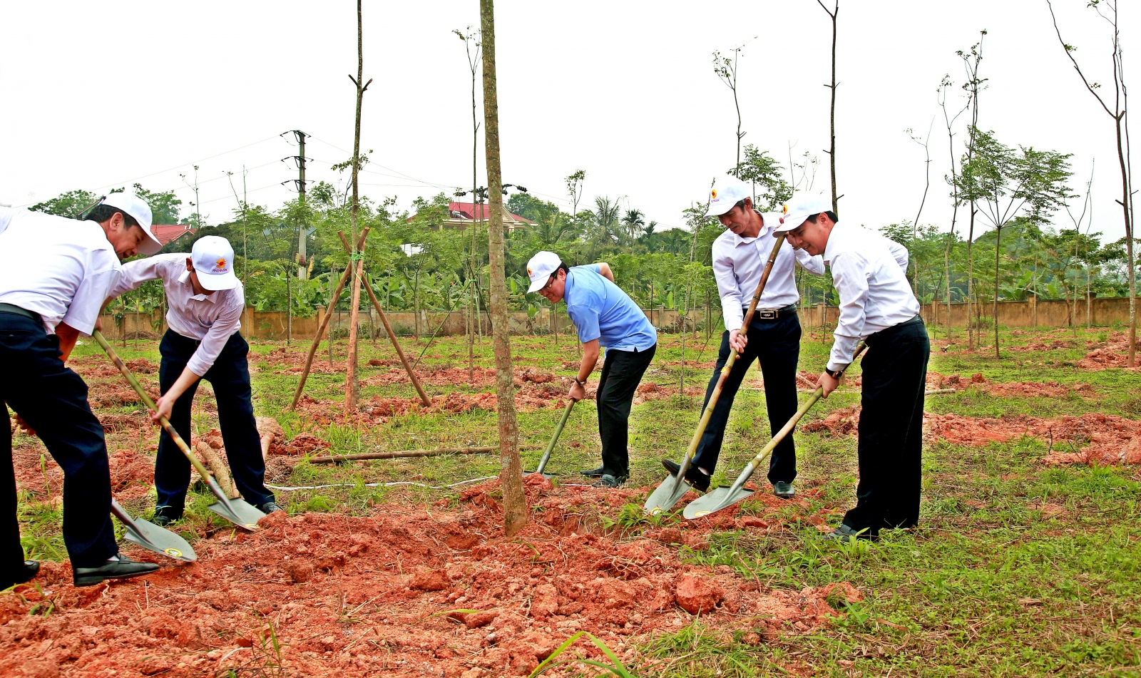 Vĩnh Phúc: Thêm 13.000 cây xanh tại các cơ sở ngành Giáo dục