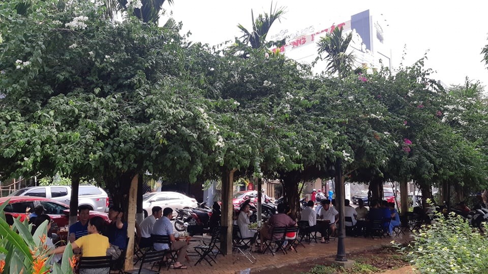 Đắk Lắk: Giàn hoa giấy ở trung tâm thành phố Buôn Ma Thuột bị hủy hoại - Ảnh minh hoạ 2