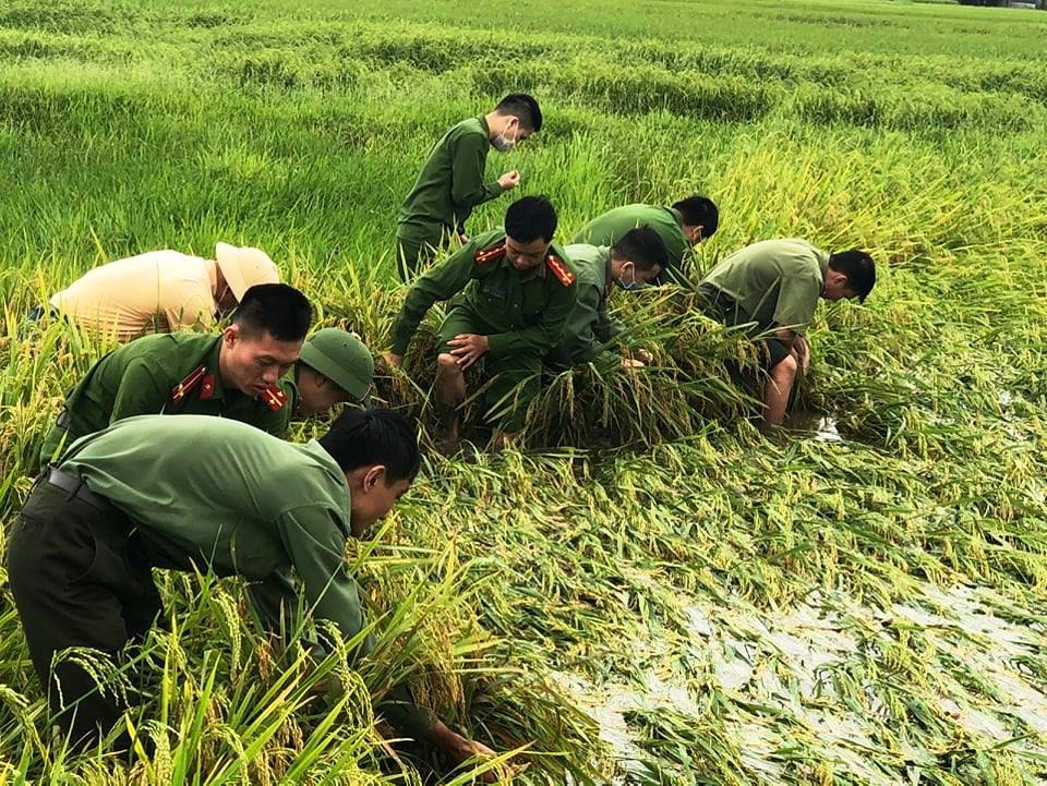 Hà Tĩnh: Huy động lực lượng công an, quân sự "cứu" lúa giúp dân