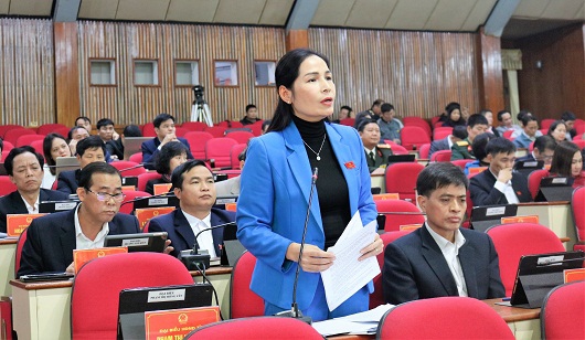 Công bố nghiên cứu về đóng góp của nữ đại biểu dân cử Việt Nam
