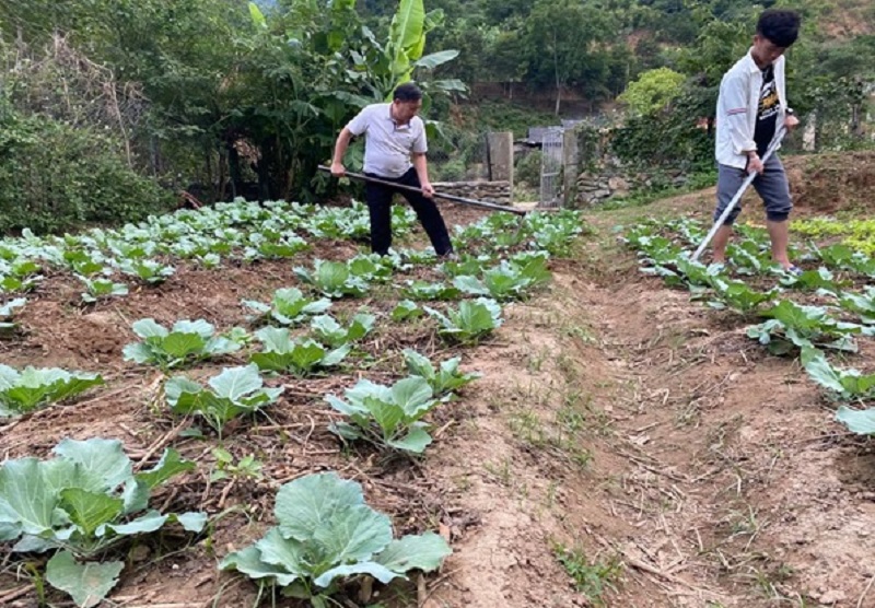 Giáo dục trên quê hương Bác: Học Bác từ điều nhỏ nhất