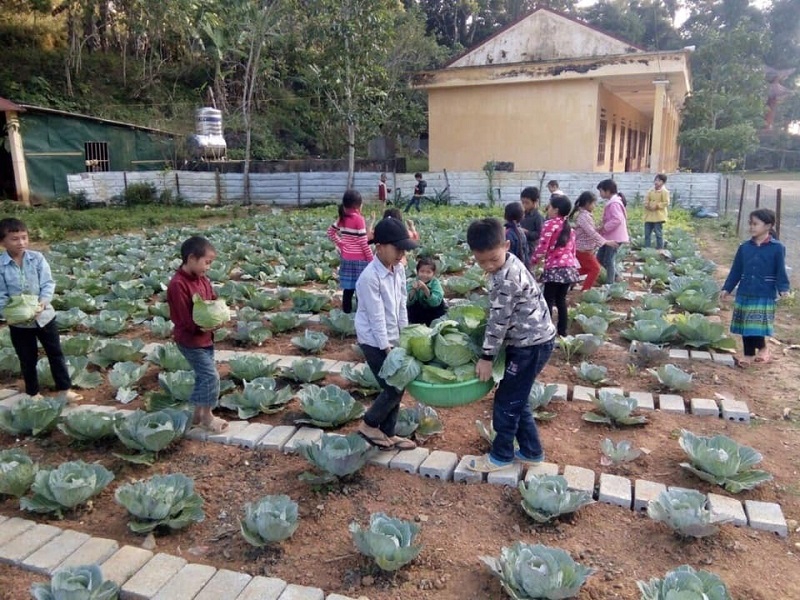 Học tập và làm theo gương Bác: Chuyển biến tích cực trong trường học