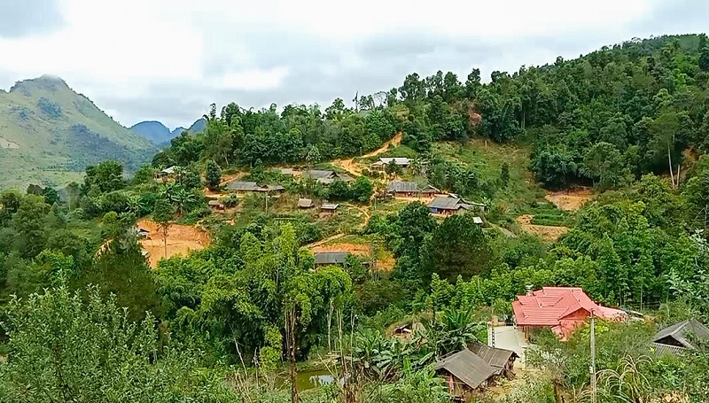 Ngược ngàn không mong “xuống núi” - Ảnh minh hoạ 2