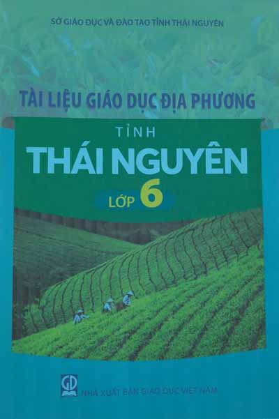 Chương trình giáo dục địa phương: Học sinh hiểu và thêm yêu quê hương - Ảnh minh hoạ 2