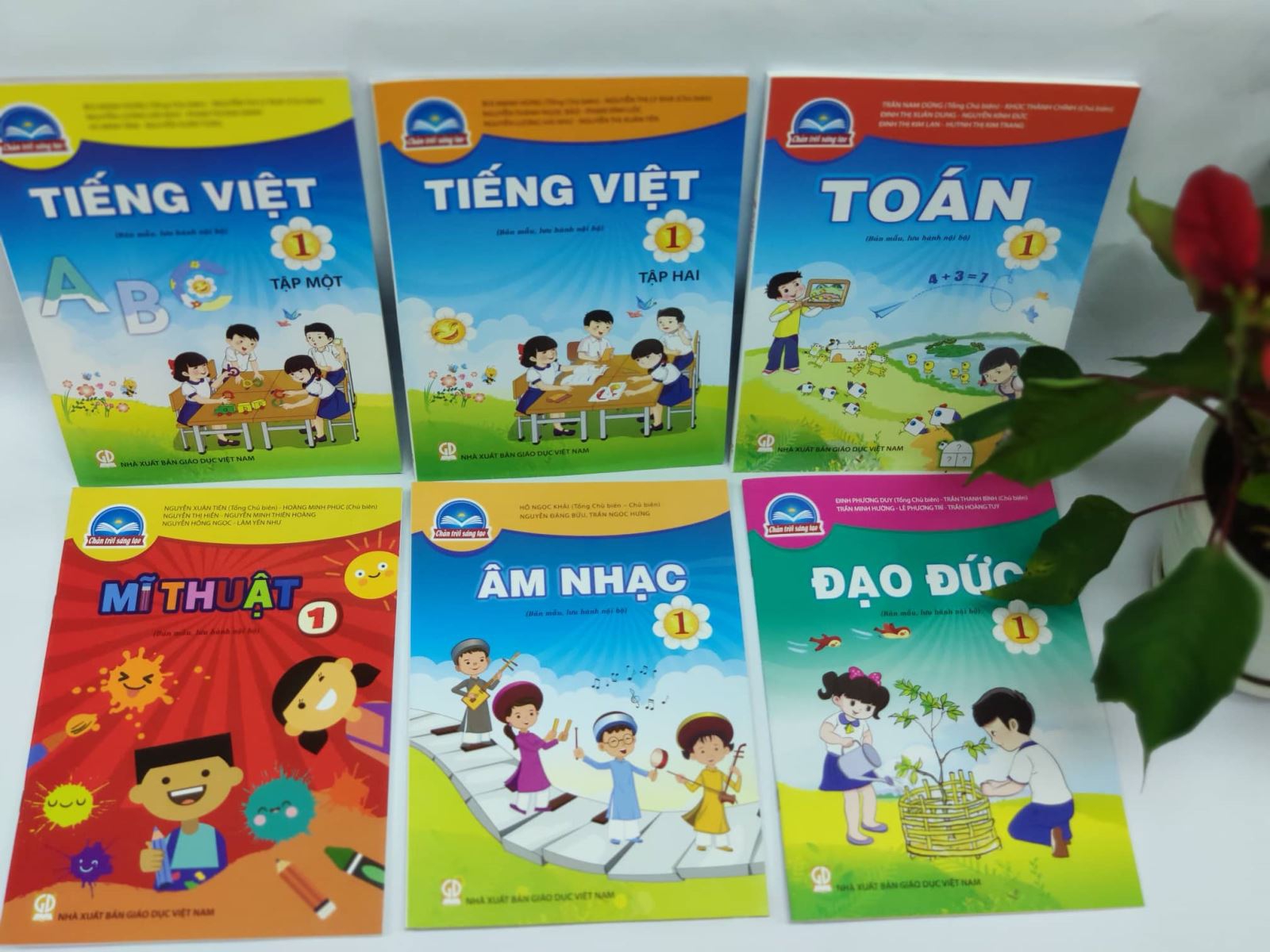 Sóc Trăng phê duyệt chọn SGK cho lớp 1, lớp 2, lớp 6