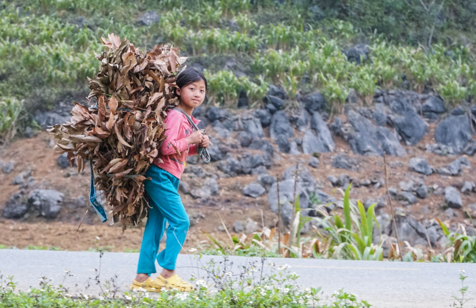 Không để học sinh thiếu SGK trong năm học mới - Ảnh minh hoạ 2