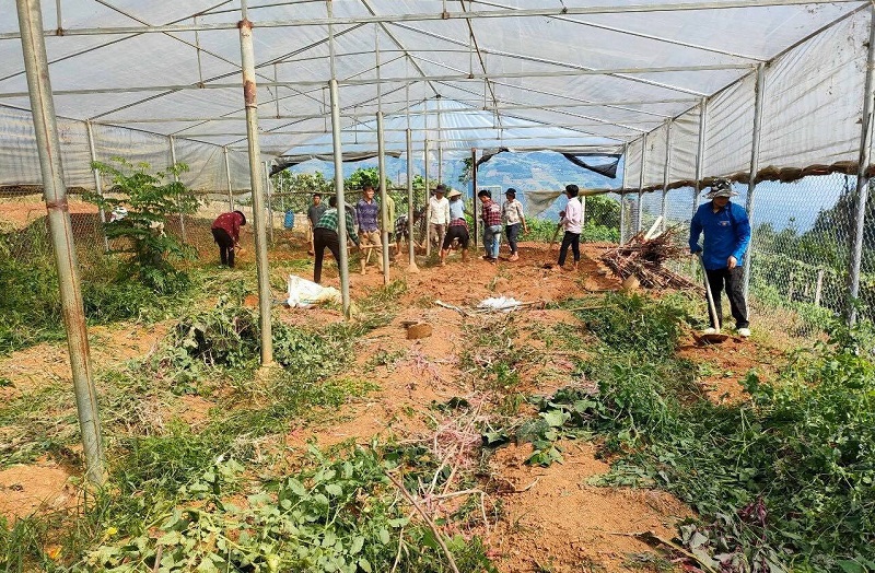 Tích trữ lương thực, trồng thêm rau xanh để sẵn sàng... kéo học sinh tới lớp - Ảnh minh hoạ 2