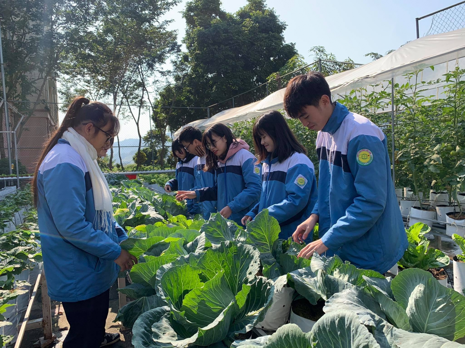 Trường THPT Chuyên tỉnh Lào Cai – Những kiến tạo trên hành trình đổi mới và phát triển