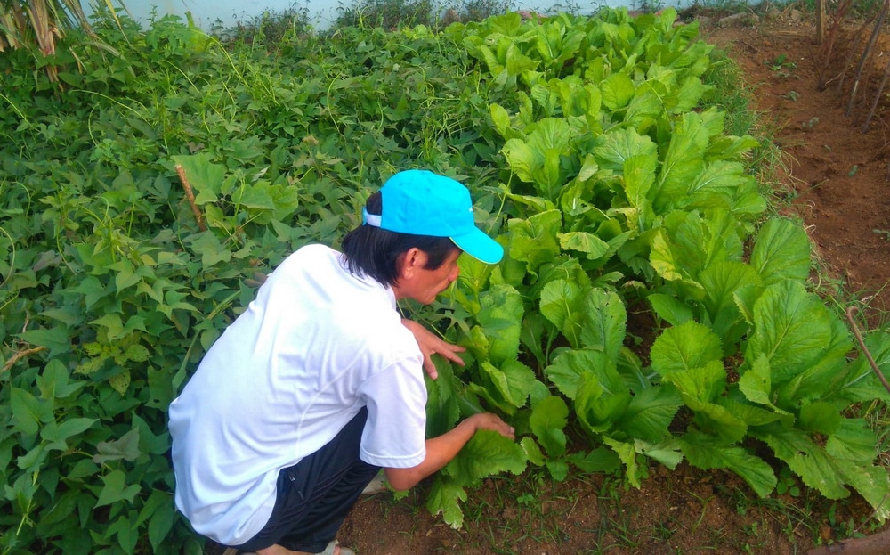 Thầy giáo dành cả thanh xuân 