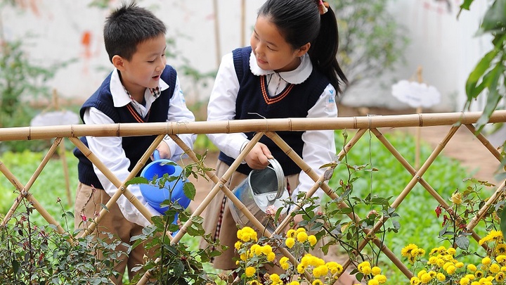 Bước đi cần thiết định hình tương lai bền vững cho giáo dục Việt Nam