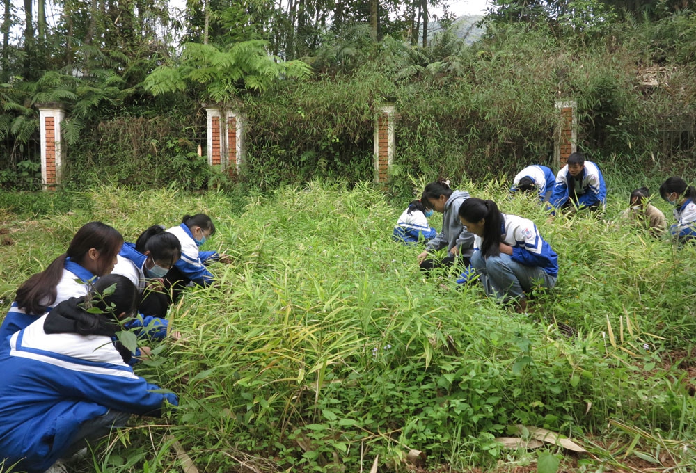 Những bài học ý nghĩa bên ngoài tiết học - Ảnh minh hoạ 3