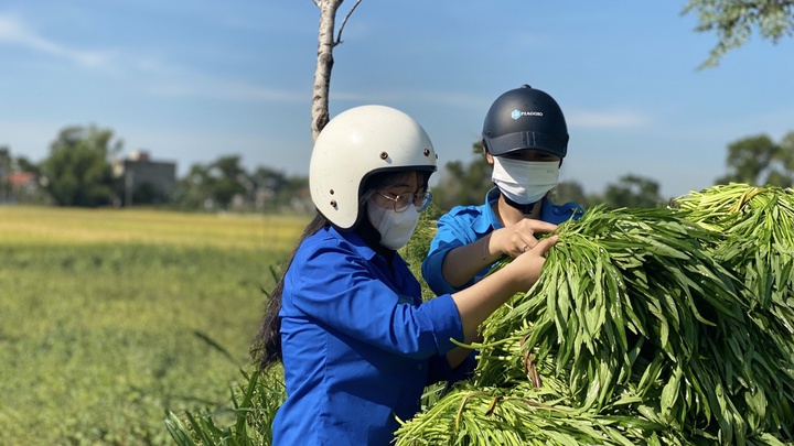 Tạo môi trường lành mạnh để thanh niên rèn luyện, cống hiến và trưởng thành