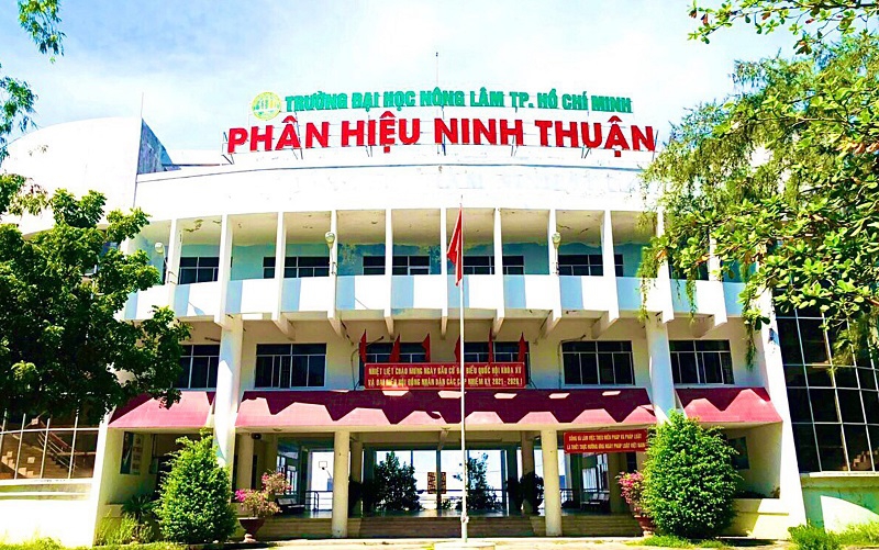 Phân hiệu trường đại học: Sẻ chia nguồn lực, tiết kiệm chi phí - Ảnh minh hoạ 3