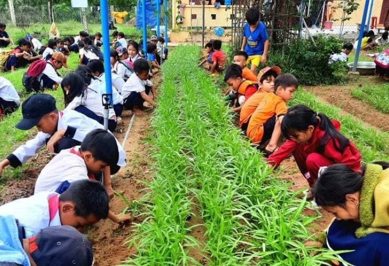 Tăng cường năng lực cho giáo viên: Đừng chỉ dừng ở giới thiệu sách - Ảnh minh hoạ 2