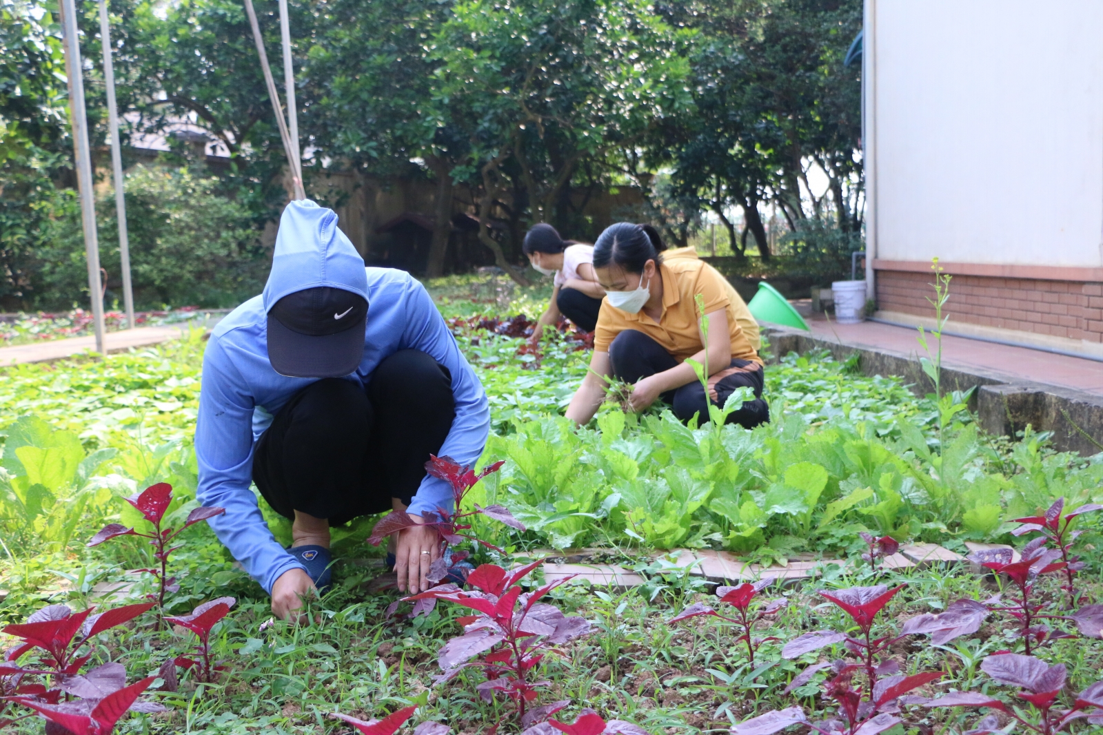 Hà Nội: Trường mầm non tất bật dọn dẹp sẵn sàng cho 